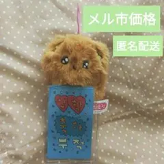チェゴシム 최고심 お守りカード付き マスコット リスゴシム