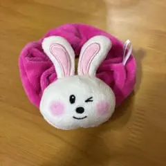 たべっこどうぶつ　シュシュ