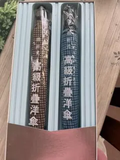 Rainser 折りたたみ傘 2本セット