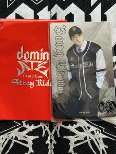 Stray Kids バンチャン dominATE エコパ ランダムフォトカ