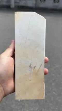 大平 巣板 青蓮華 といしや / 大平山合砥石(蓮華巣板) 参考出品