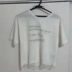 grove 未使用　Tシャツ　Mのサムネイル