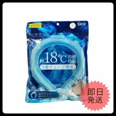 ⑥ ブルーフラワー スマートエコアイス 専用保冷ポーチ付 日比谷花壇