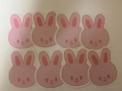 ペンミ スキズ 落下物 リービット リノ skzoo Straykids 10枚