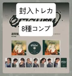 スキズ　StrayKids 通常盤 Hollow 封入トレカのみ　8種コンプ