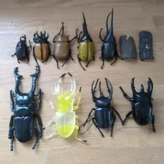 11体セット リアル昆虫フィギュア カブトムシ クワガタ - メルカリ