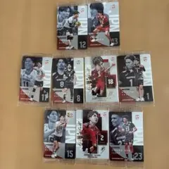 バレーボール日本代表カード ウエハース
