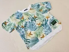 【中古品】ポケモンコラボTシャツ　100　クレードスコープ イーブイ グリーン