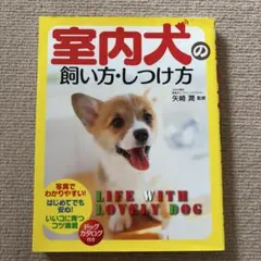 室内犬の飼い方・しつけ方