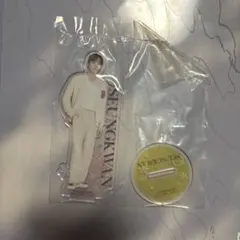 SEVENTEEN スングァン アクスタ