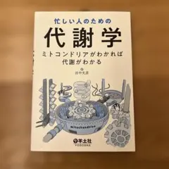 Item thumbnail for item 1585c43a-81d4-499f-8c2f-14ceebf96de5