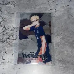 ハイキュー展 入場特典 月島蛍