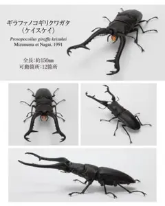 いきもの大図鑑 くわがた11 ギラファノコギリクワガタ(ケイスケイ)