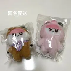 なめこ栽培キット 大なめこ展 パルコアラ マスコット お雑煮 バッジ