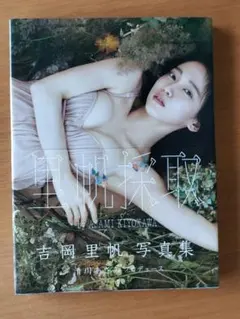 吉岡里帆 写真集