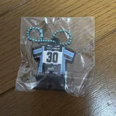 新品☆川崎フロンターレ ユニフォーム型キーホルダー 30 野田裕人選手