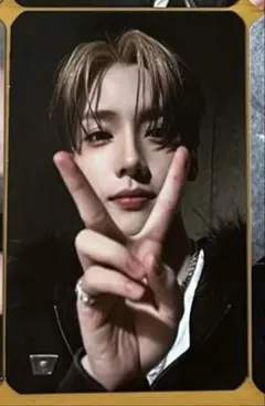 ALD1 サンウォン トレカ starriver