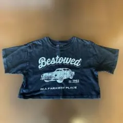 レピピアルマリオ　Tシャツ　M