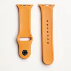 ラバーベルト アップル エルメス Apple Watch HERMES ベルト
