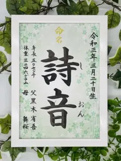 Item thumbnail for item b4d34e83-fa9b-46eb-b5ff-b3d2c9f4ab26