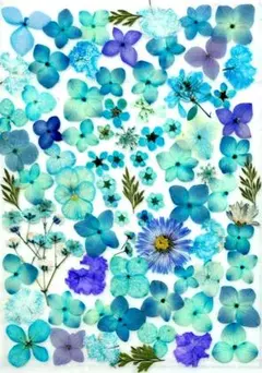 Item thumbnail for item 0c1d5d05-300b-4148-8d47-1ee1faf301ba