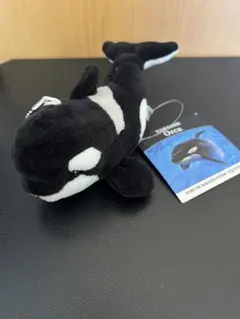 名古屋港水族館 シャチ ぬいぐるみ マスコット キーホルダー