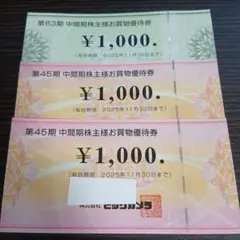 ビックカメラ　コジマ　お買い物優待券　株主優待券　計3000円分