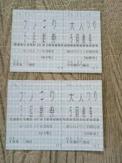 本牧海釣り施設　大人回数券2枚(有効期限：11月30日)