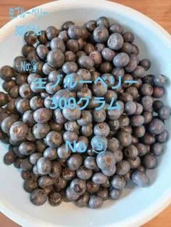 摘みたて　生ブルーベリー　お試し300グラム　No.⑨のサムネイル