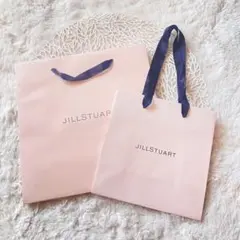 ジルスチュアート　ショップ袋　大小2枚セット 紙袋 ショッパー