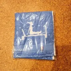 リントスル 公式ウェア4点セット リントスル】紹介でいただいていたポイントでウェアを新しく買っ