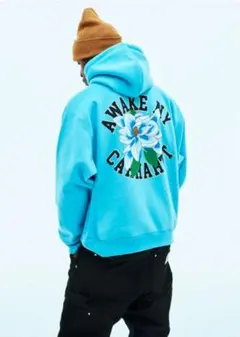 Item thumbnail for item d03b256d-6920-4019-9831-7e831909b1e2