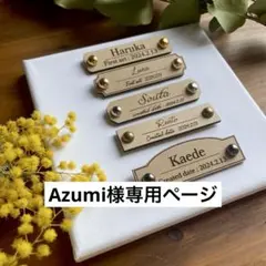 Azumi様専用ページ
