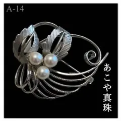 Item thumbnail for item 27d9b500-501f-4449-a35f-02897de3e9e6