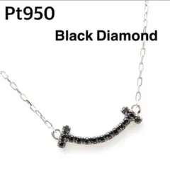 プラチナ ブラックダイヤモンド0.07ctネックレス ペンダントリバーシブルOK