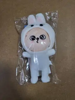 スキズ　stray kids　パピーム　リービット　チャーム　ファンミ