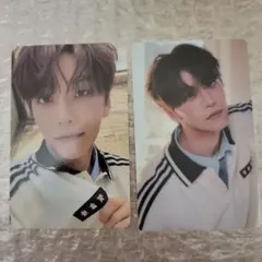 ALD1 EUPHORIA JEWEL CASE トレカ ステッカー シンロン