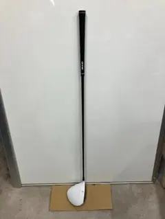 Item thumbnail for item e0cbcfba-daa2-404d-bd68-cf1de05a5018