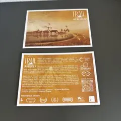 haru様 リクエスト 2点 まとめ商品