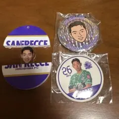 【新品未使用】Nike サンフレッチェ広島サッカーシャツ 直筆サイン入り　菅大輝 新品未使用】Nike サンフレッチェ広島サッカーシャツ 直筆サイン入り