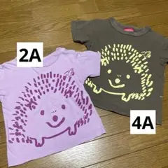 30日16時迄セール中！OJICO ハリネズミ Tシャツ　2枚セット