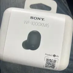 SONY WF-1000XM6 ワイヤレスイヤホン