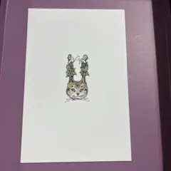 ヒグチユウコ ポストカード 猫