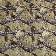 ·͜·ᰔコタロー·͜·ᰔ様 リクエスト 2点 まとめ商品