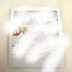 清水海李 ナッツライブ NATSLIVE ナツラ チェキ ポラロイド