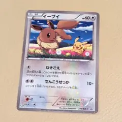 イーブイ ポケモンカード 235/BW-P