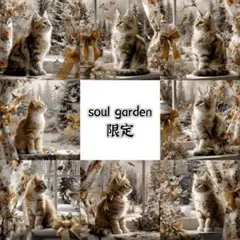 soul garden 251205c