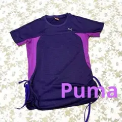 美品　PUMA ストライプ柄 Tシャツ Sサイズ 紫
