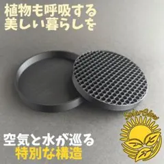 ウィンドレイ』 黒 3Dプリント鉢皿 作家鉢 植木鉢 アガベ 多肉植物