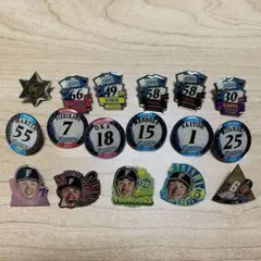 【北海道日本ハムファイターズ】ピンバッジ 17個セットのサムネイル